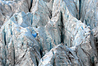 New Zealand - South Island / Franz Josef Glacier 